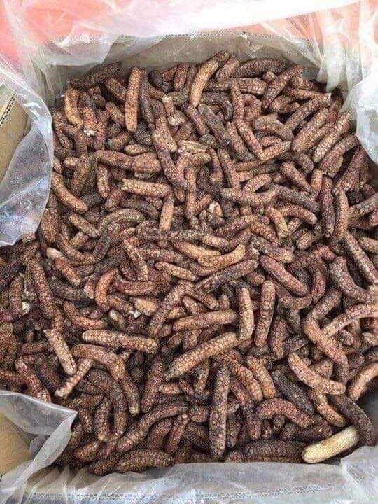 chuối hột phơi khô ngâm rượu 500g