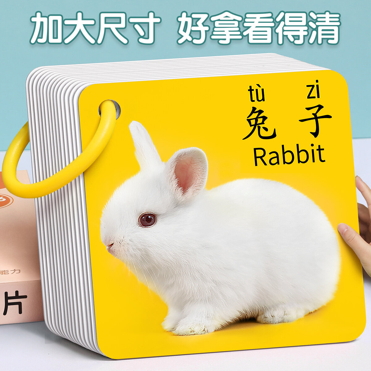 Thẻ động vật đồ chơi trí tuệ một tuổi cho em bé trẻ em giáo dục sớm nhận thức nhận biết chữ đọc sách nhận biết hình ảnh