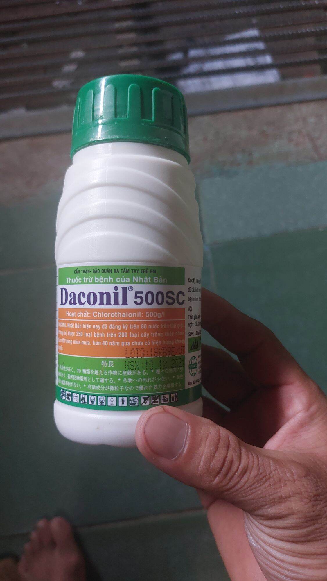 Daconil 500sc chai 250ml