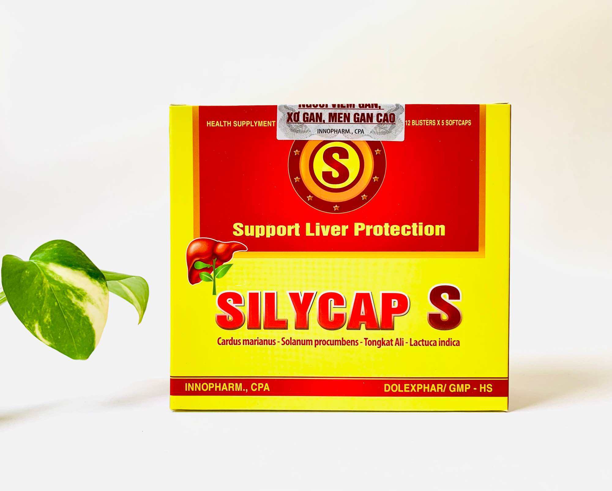 Hộp 60 viên SILYCAP S hỗ trợ tăng cường chức năng, bảo vệ tế bào gan