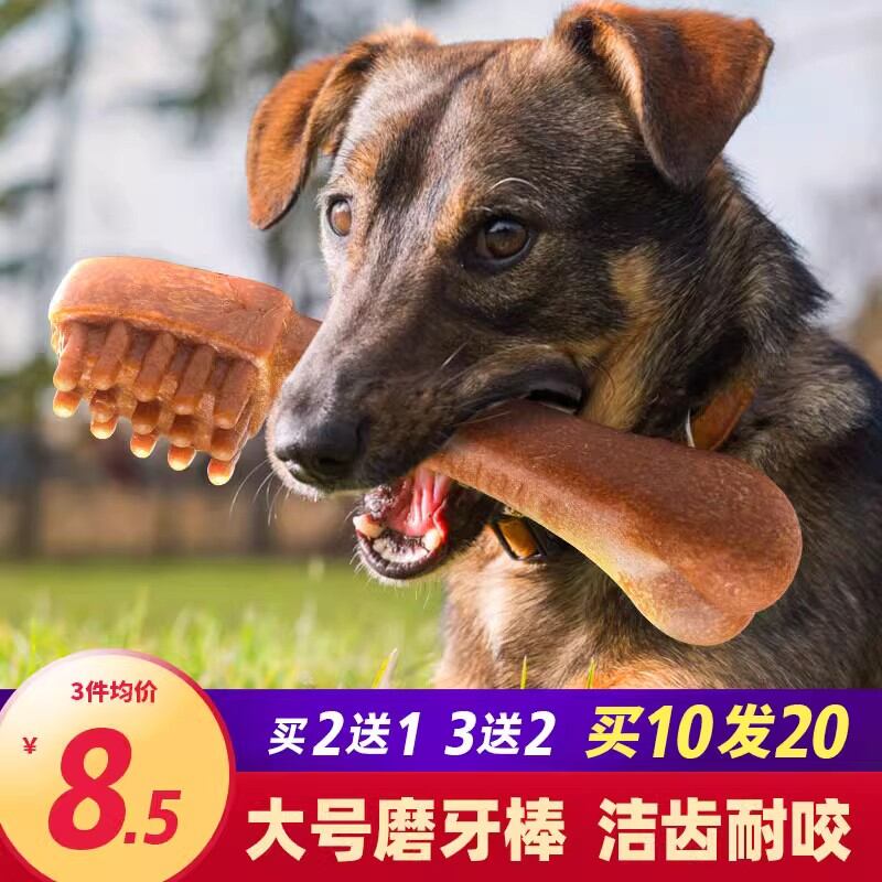 Hôi Miệng, Xương Chó, Chó Lông Vàng, Chó To, Chó Làm Sạch Răng, Chó Cắn Cao Su, Chó Ăn Vặt