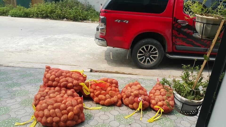 Khoai Tây to ngon đẹp (3kg)