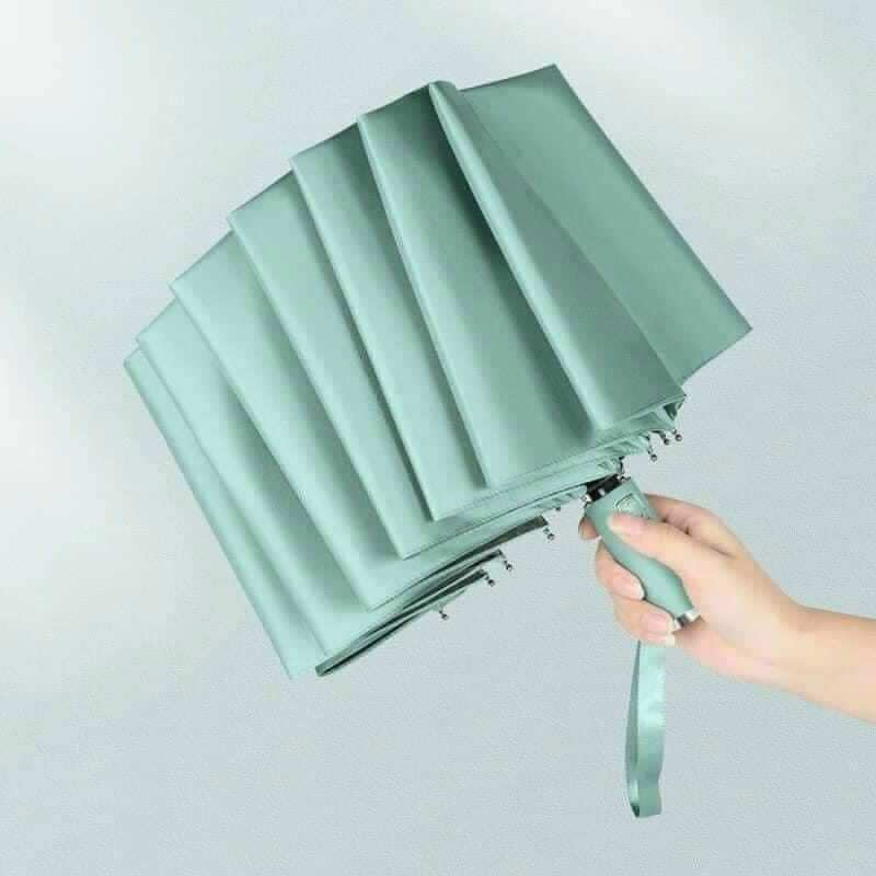 Ô tự động Nhật
