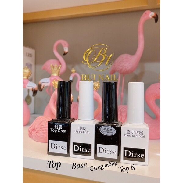 BỘ 4 LIÊN KẾT DIRSE ( BASE TOP CỨNG MÓNG TOP LỲ)
