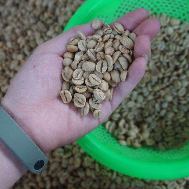 1kg cà phê nhân arabica s16