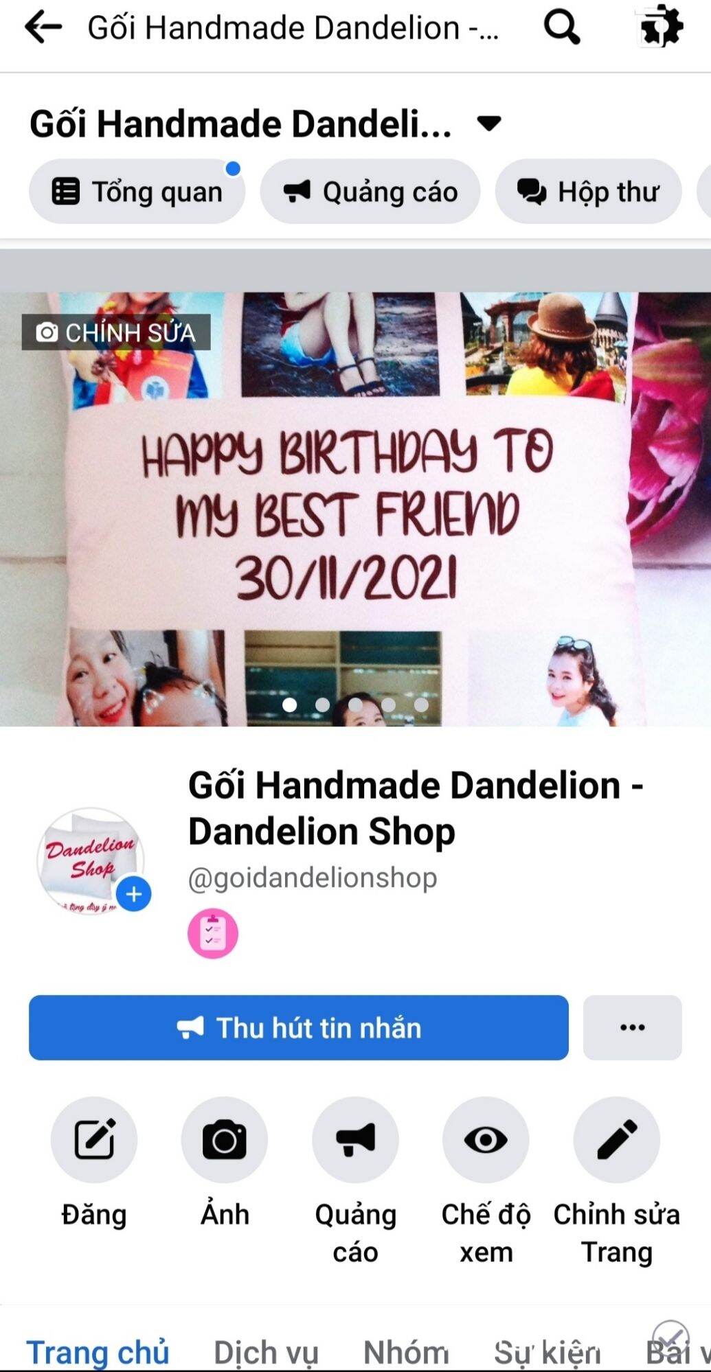 Ruột gối ôm (gối ép hơi)