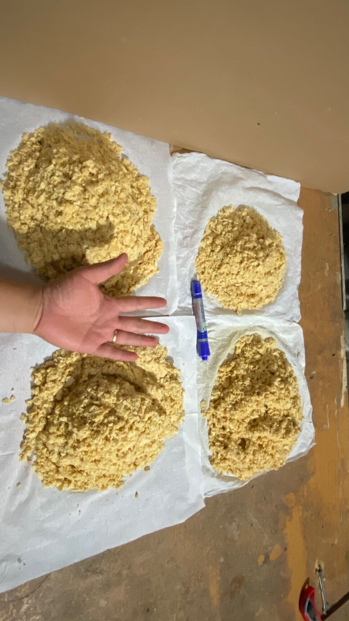 10g Trứng Ruồi Lính Đen