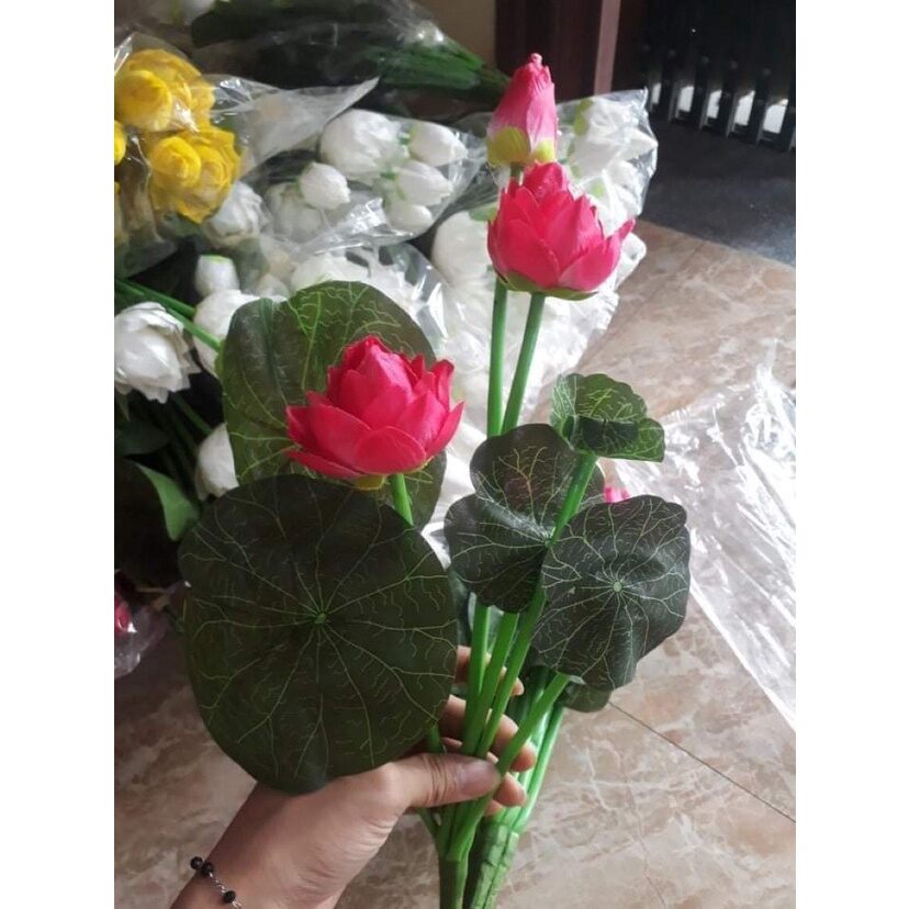 Cụm hoa sen dài 60cm cao cấp_hoa giả, hoa lụa