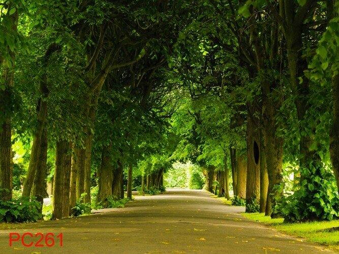 Tranh dán tường thác nước kích thước ngang 80cm cao 150cm