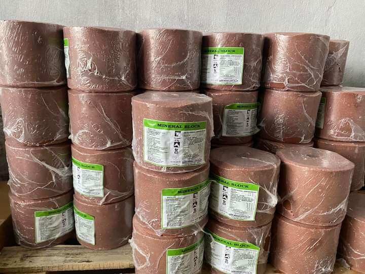 Đá liếm tổng hợp 1v/5 kg