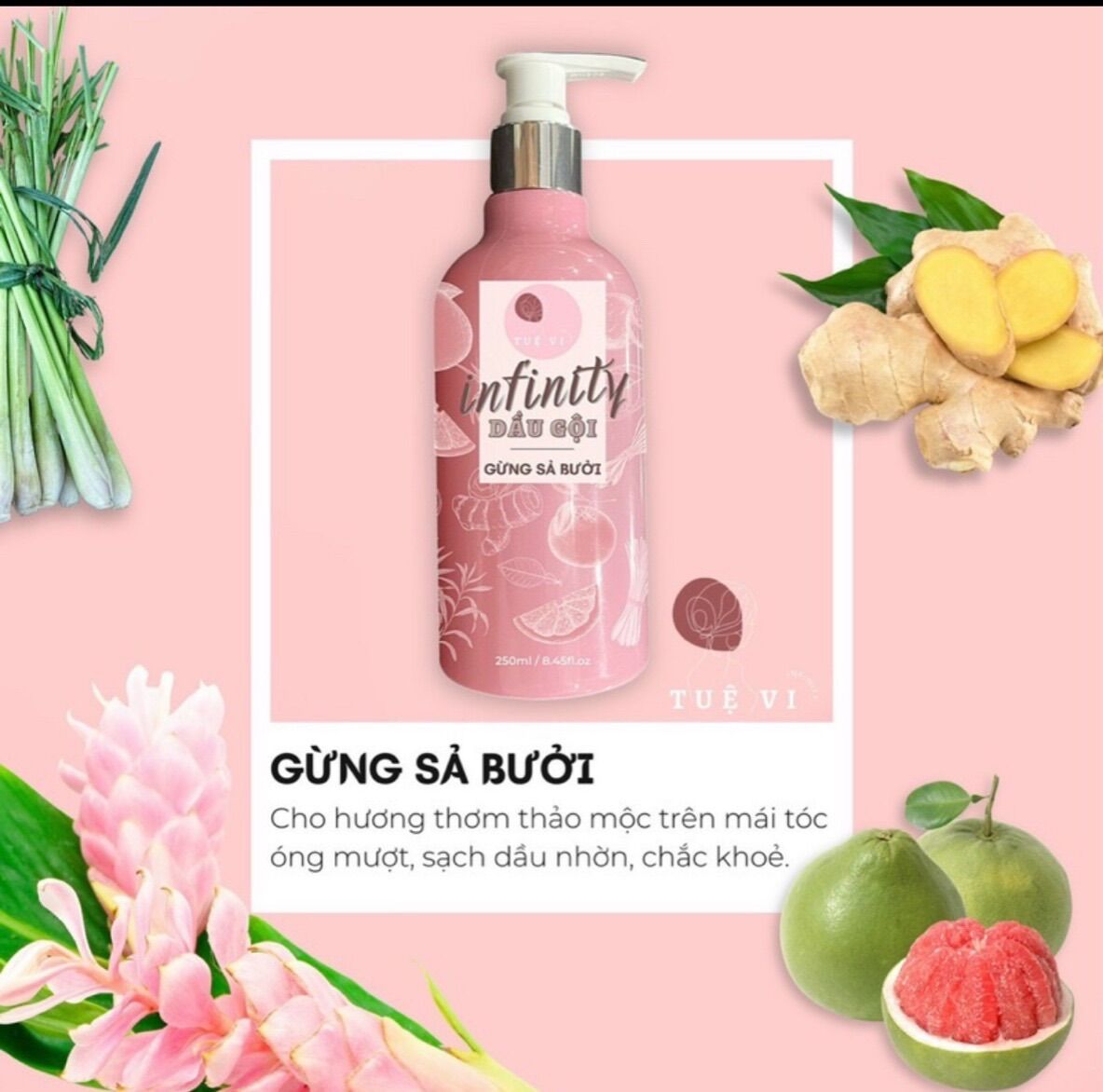 (Chính Hãng) Combo dầu gội - ủ xả tóc - tuệ vi siêu mềm mượt