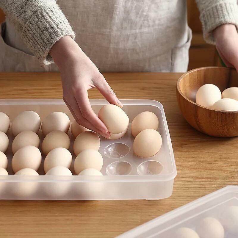 HỘP ĐỰNG TRỨNG 24 QUẢ VIỆT NHẬT