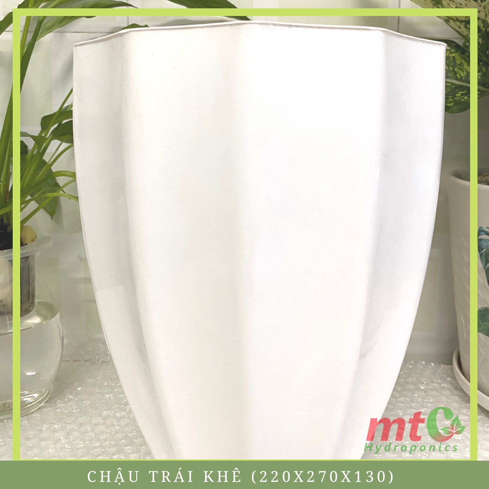 Combo 5 chậu trái khế chậu trồng cây, chất liệu nhựa nguyên sinh cao cấp