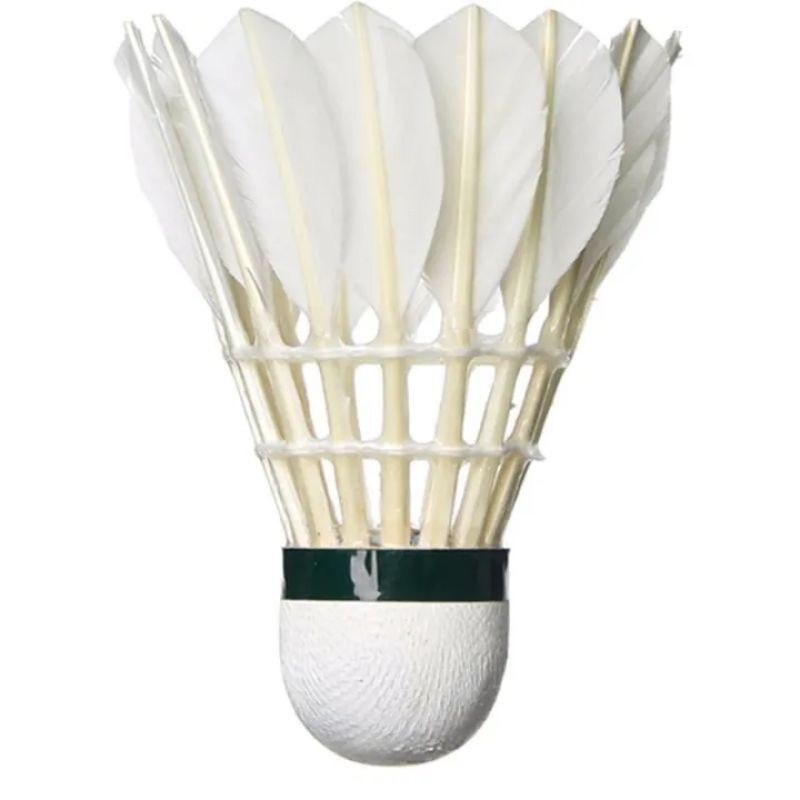 Quả cầu lông đánh vợt