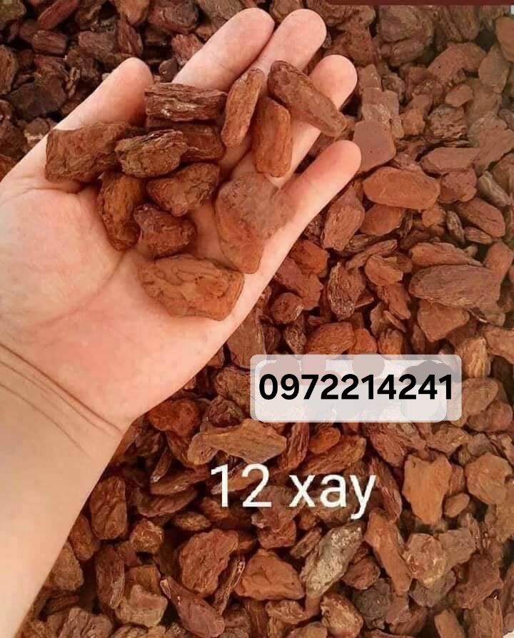 ĐẤT THỊT TRỒNG CÂY (ĐẤT PHÙ SA MẶT RUỘNG KHÔNG PHA TRỘN) 3kg