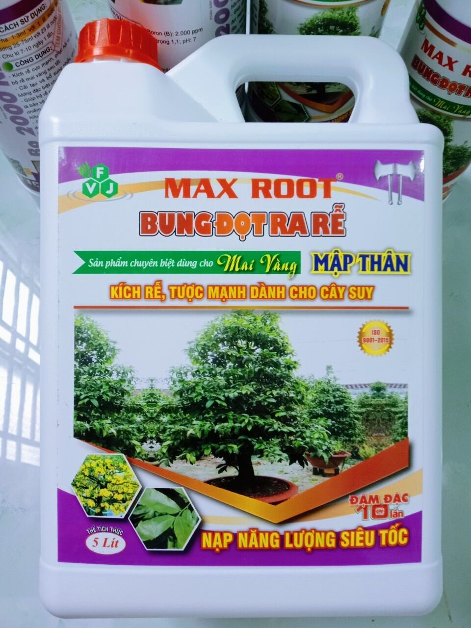 Bung đọt ra rễ mai vàng - can 5 lít.