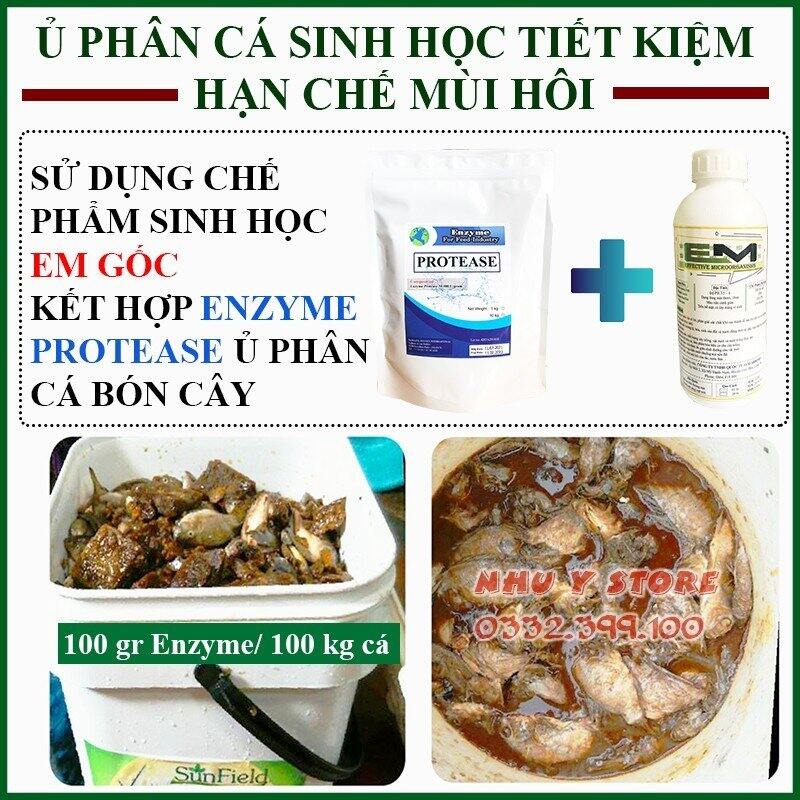 Combo Men Ủ Phân Cá và EM gốc khử mùi hôi khi ủ phân cá, Xử lý nước, phân giải protein