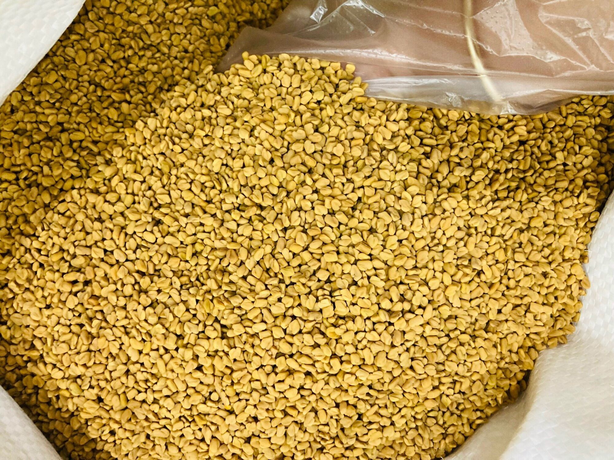 1kg hạt Methi Ấn Độ