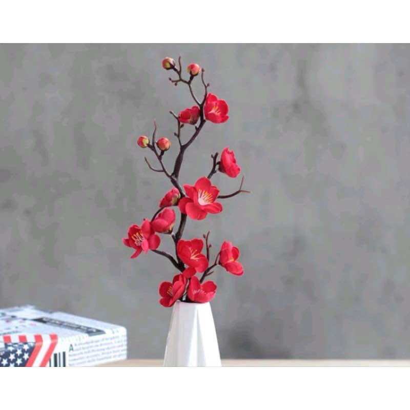CÀNH ĐÀO TRANG TRÍ, đào cổ