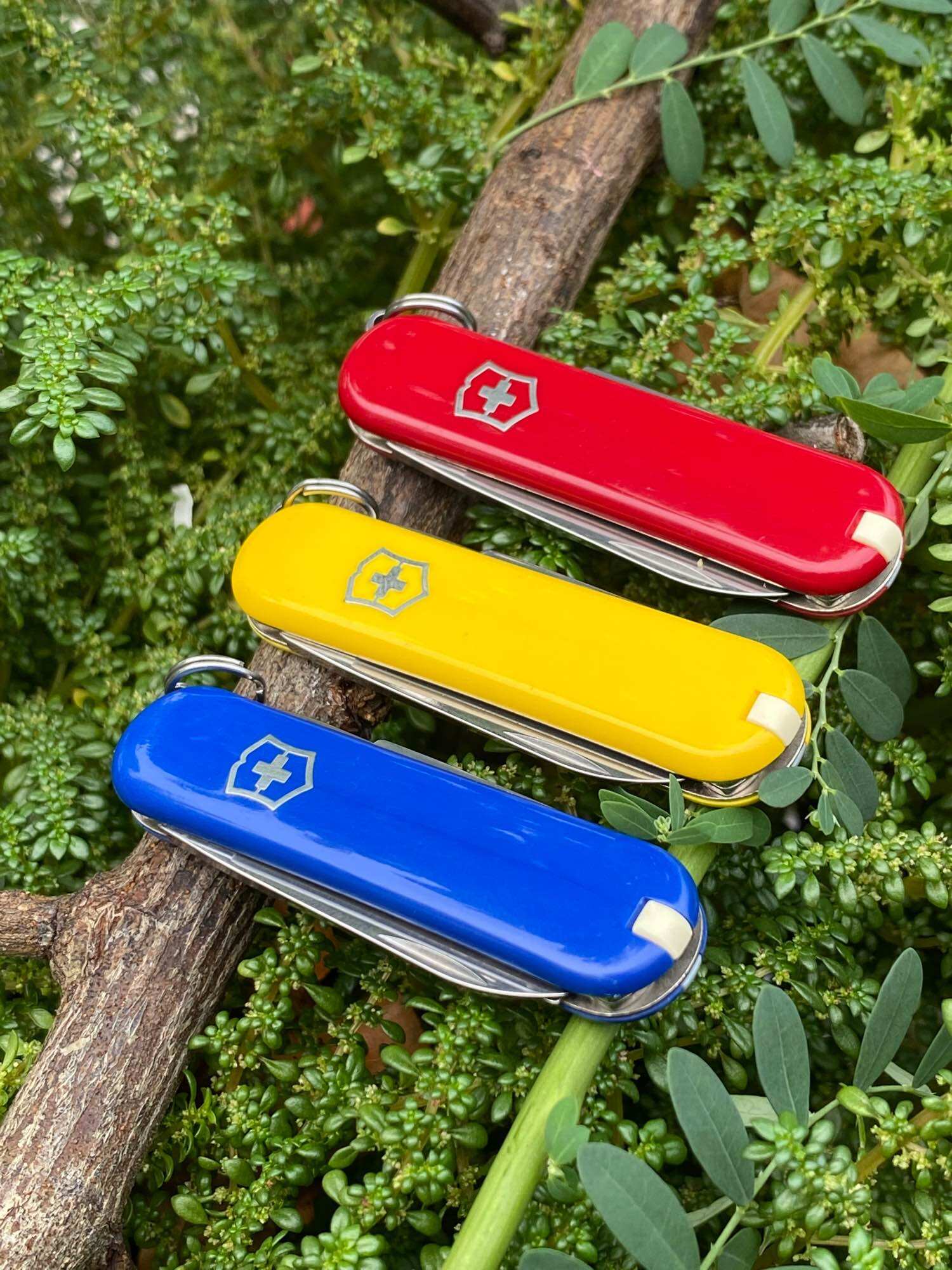 [HCM]Dụng Cụ Đa Năng Victorinox Thụy Sĩ (Classic)