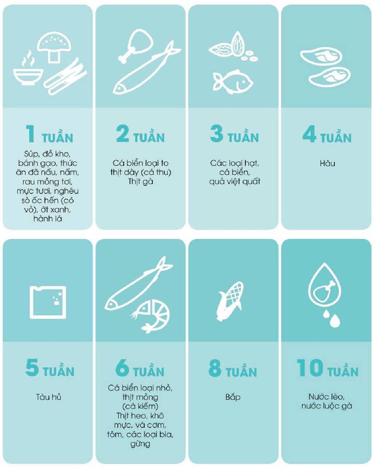 Bộ hộp trữ đông 6 hộp Tupperware 650ml