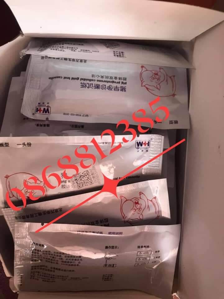 5 QUE THỬ THAI HEO - 0868812385