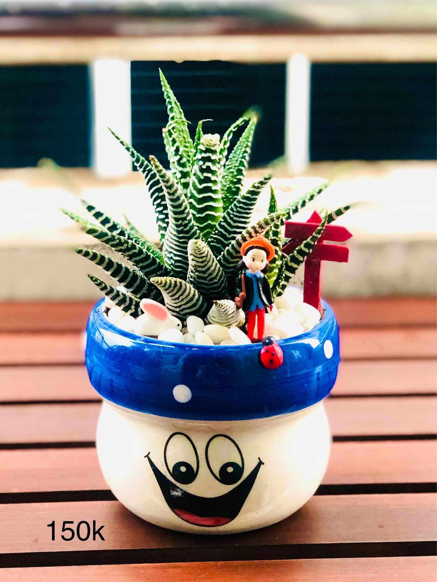 Chậu tiểu cảnh để bàn