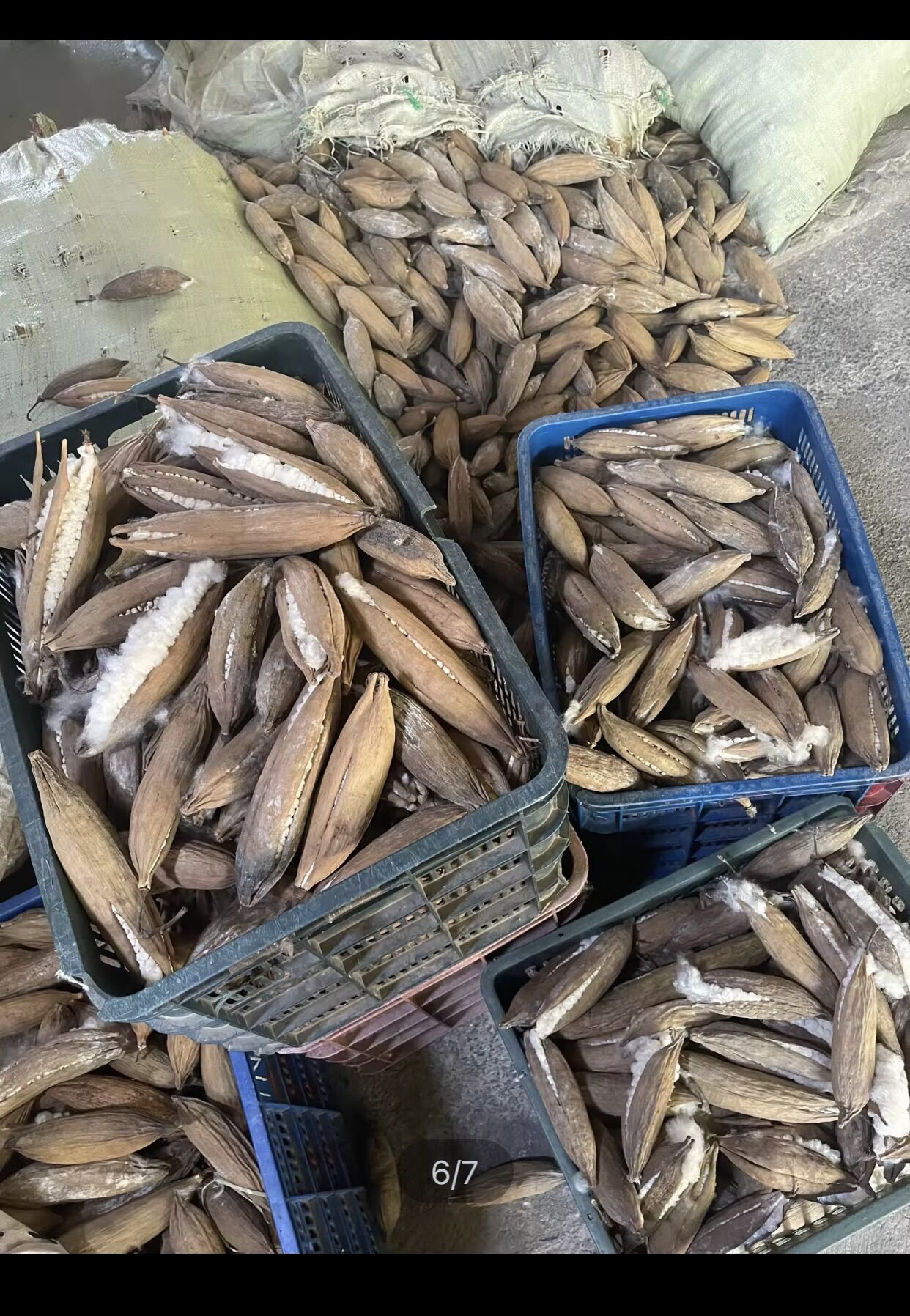 Gòn trái tự nhiên 1kg