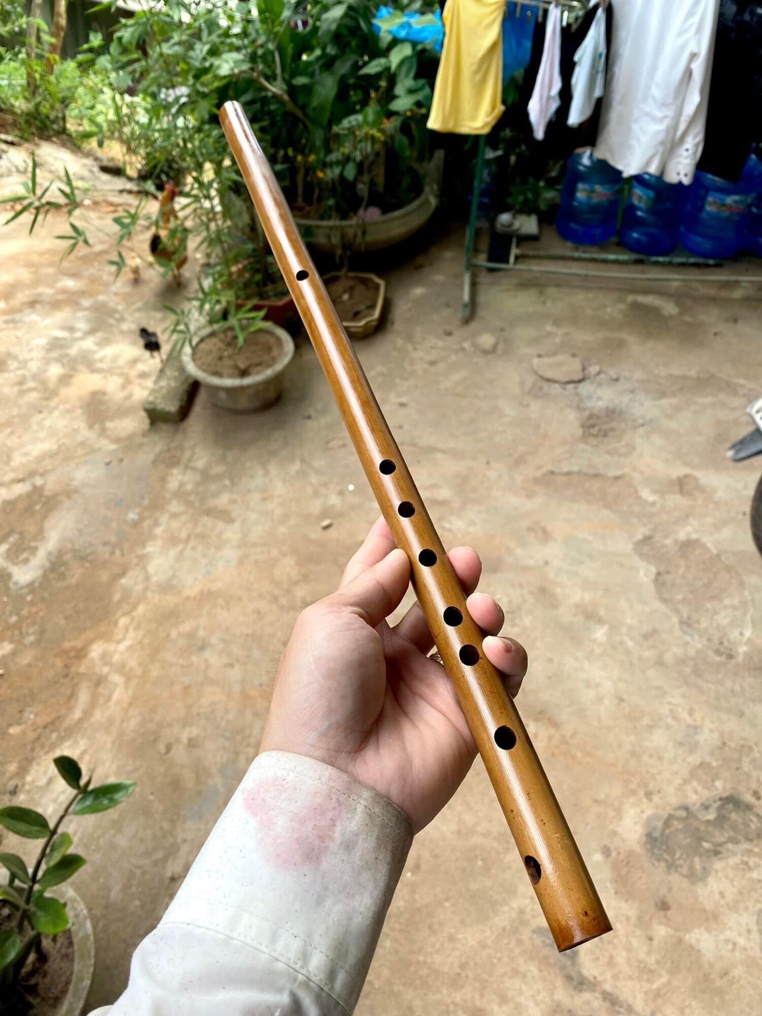 Sáo nứa hun