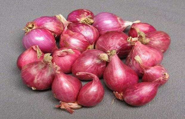 Củ hành tím 100g