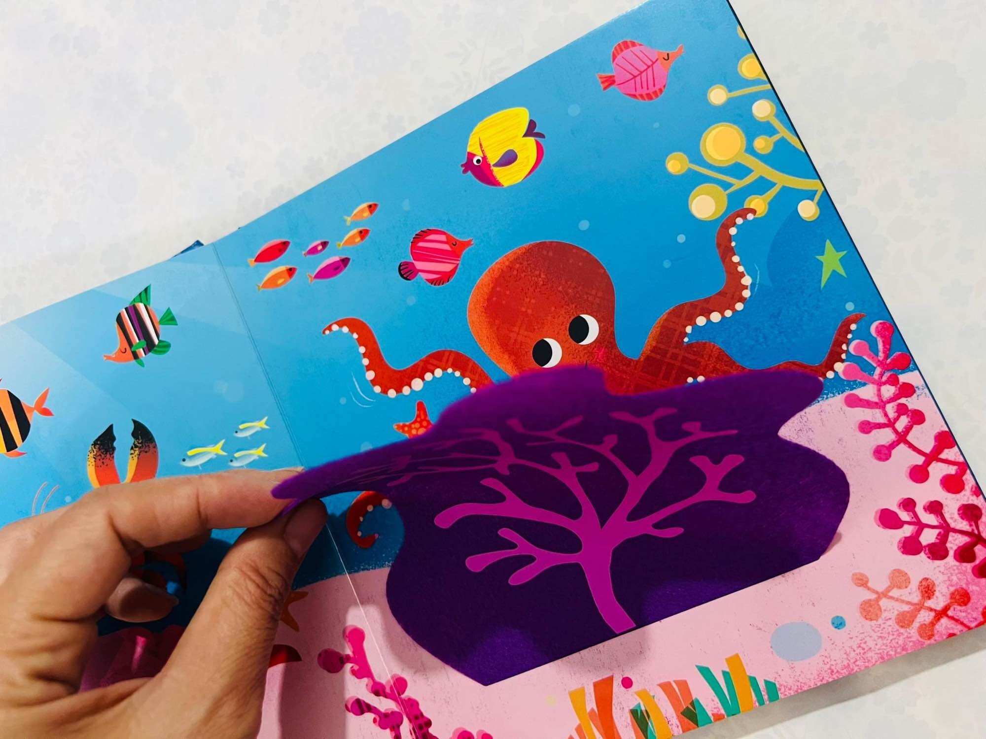 Hide and Seek Under the Sea