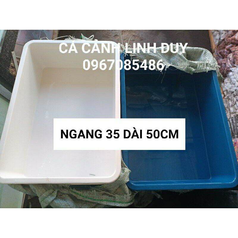 KHAY NHỰA NUÔI CÁ , TRỒNG RAU , ( 50 X 35 , 13 ) MÀU XANH ( COMBO 2 CÁI )
