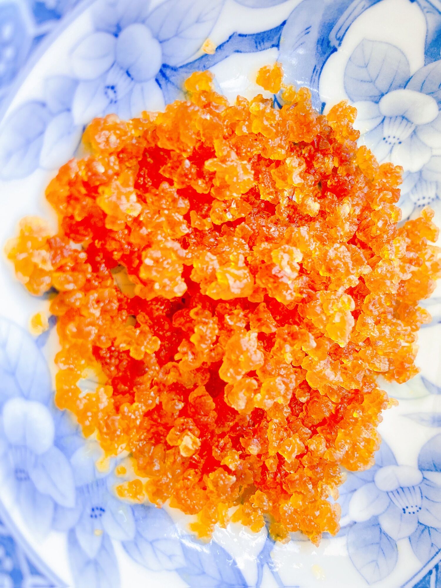 [HCM]Nấm nước water kefir 10gr