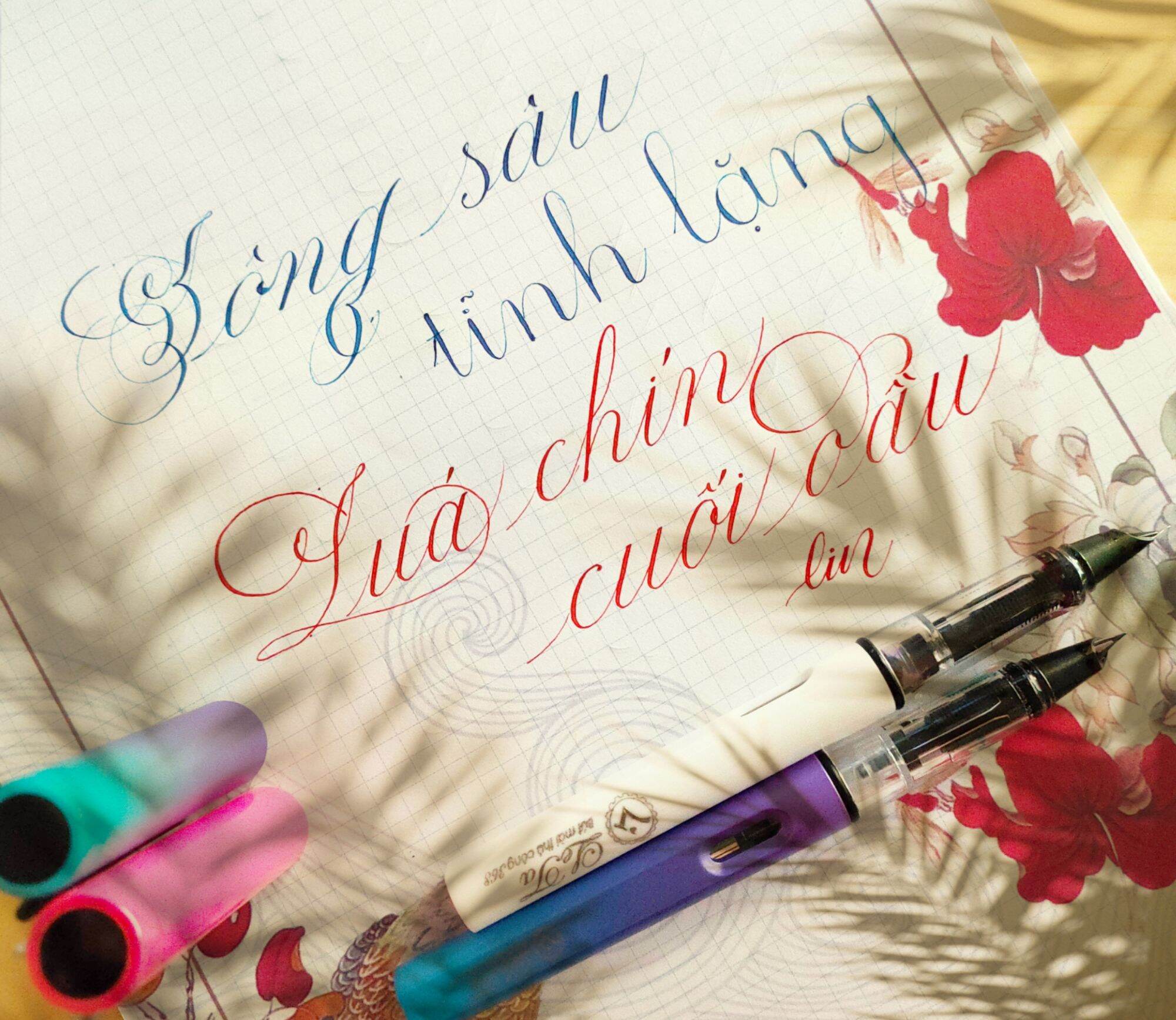 [HCM]Bút máy Lêta 368 ngòi lá tre thanh đậm rỏ nét.
