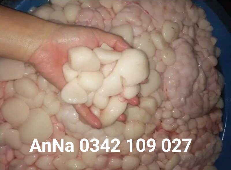 Mở Trăn 0.5l rán nguyên chất