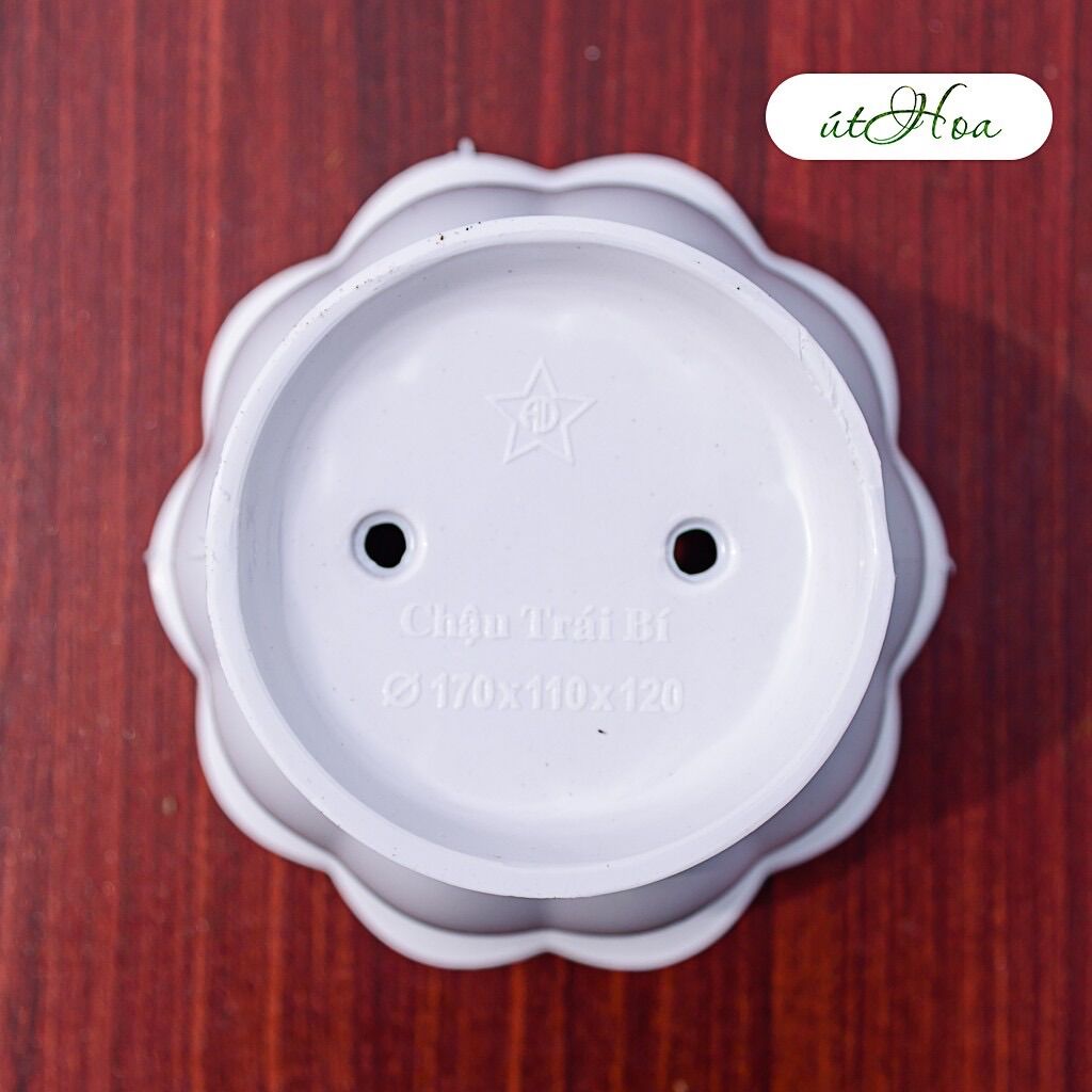 Chậu Để Bàn Trái Bí Trắng