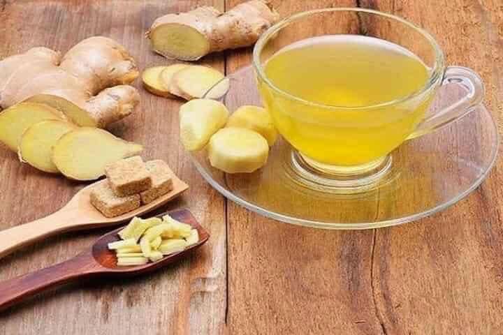 TRÀ GỪNG HOTTA THÁI LAN