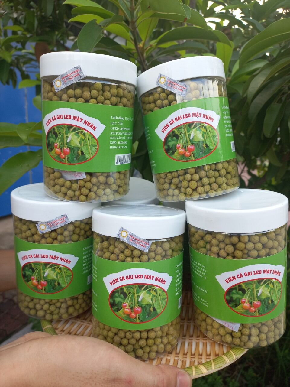 Viên Cà Gai Leo Mật Nhân (Set 3 hộp)