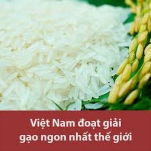 GẠO ST25 ( bịch 10kg ) GẠO NGON NHẤT THẾ GIỚI
