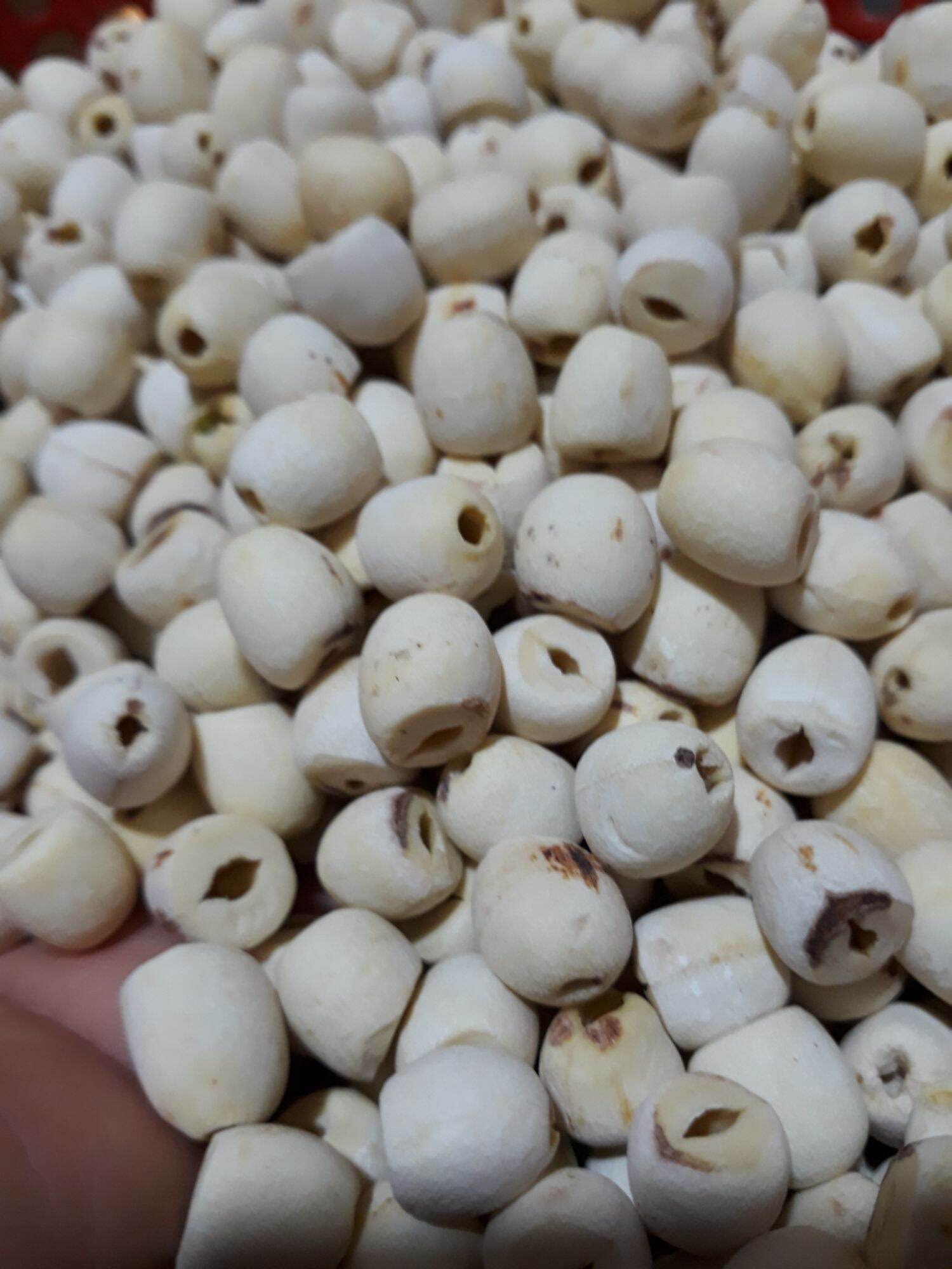 Hạt sen khô miền Nam, sen mới thơm ngọt bở