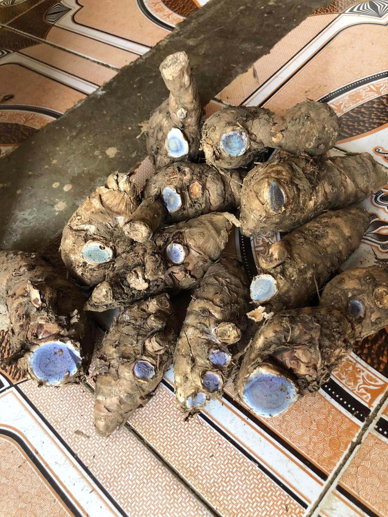 Nghệ đen tươi 1kg