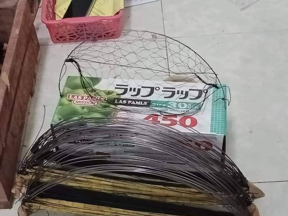 Cung bẫy chim cút lủi bộ 10 cung