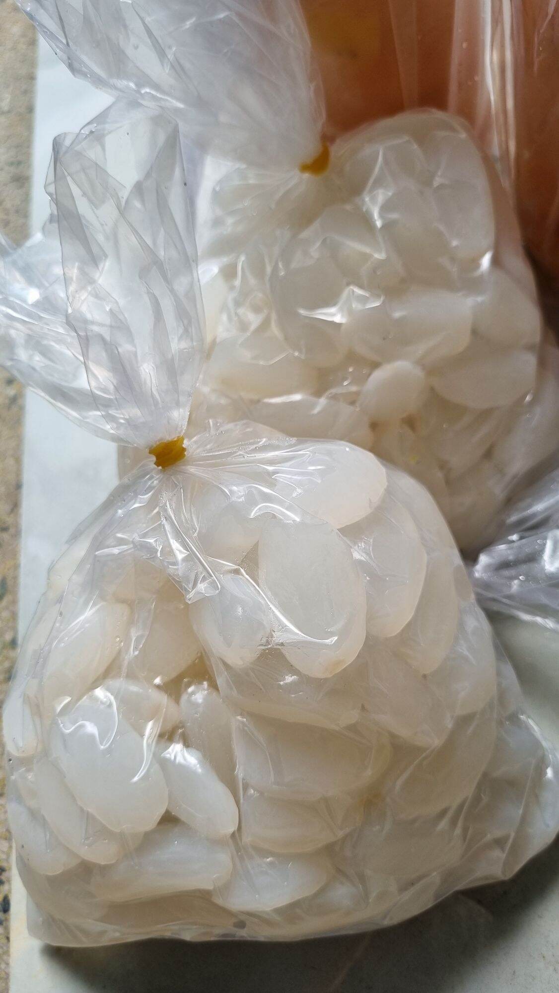 Hạt đác rừng tươi Phú Yên