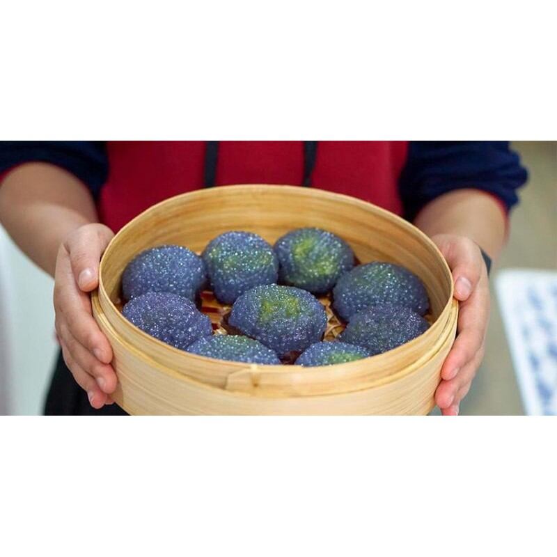 chậu cây hoa đậu biếc đang nhiều bông