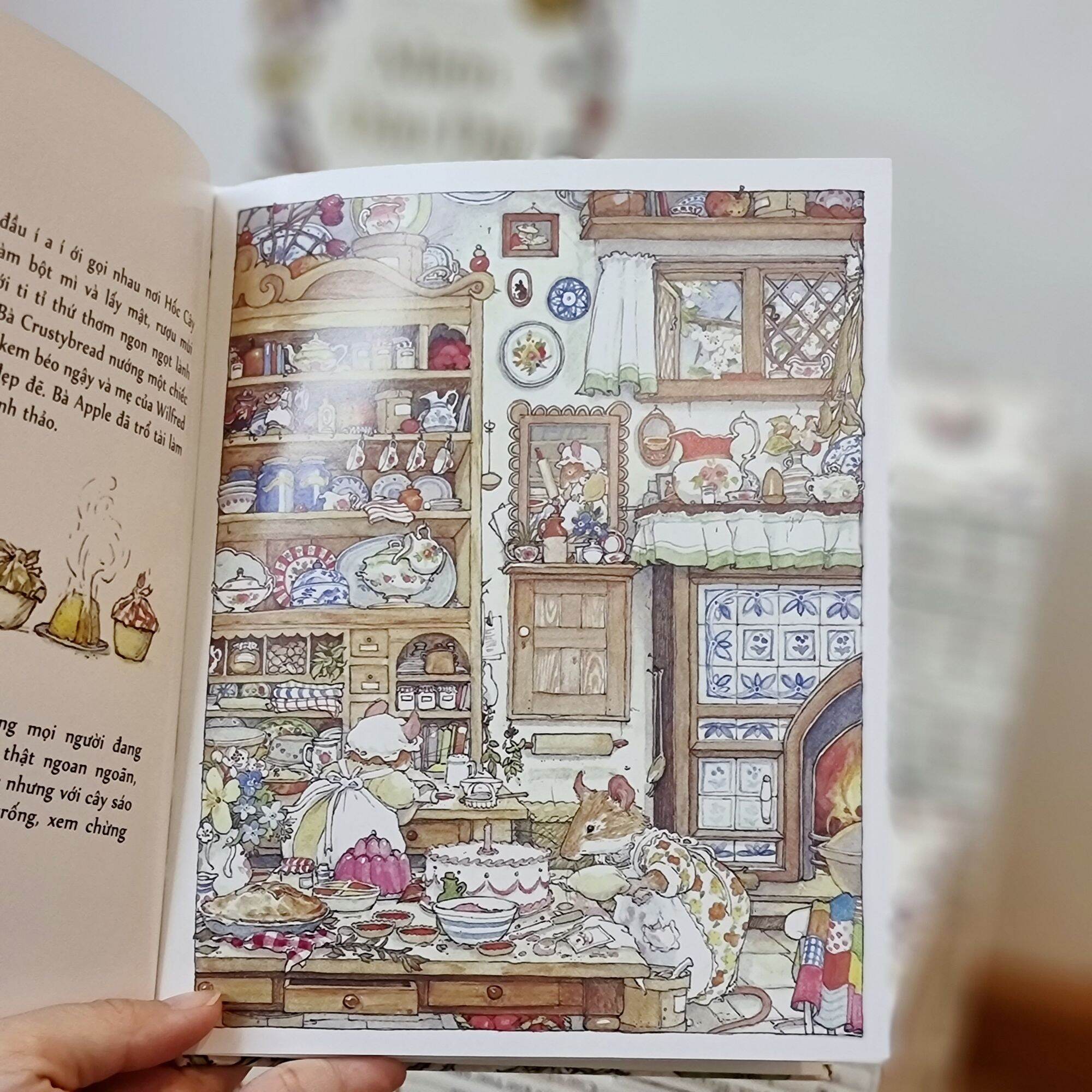 Bộ Miền Dâu Dại