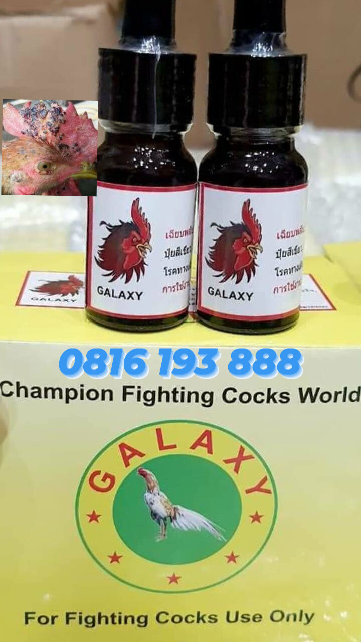 🐓🐓🐓
GALAXY - T rị đậu gà, nhiễm trùng máu
Lọ 10ml 
🐓🐓🐓
♻️CÔNG DỤNG:
+ C huyên phòng ngừa và đ iều t rị các bệnh nhiễm khuẩn đường hô hấp, nhiễm khuẩn đường tiêu hoá, n hiễm k huẩn m áu, tụ h uyết t rùng