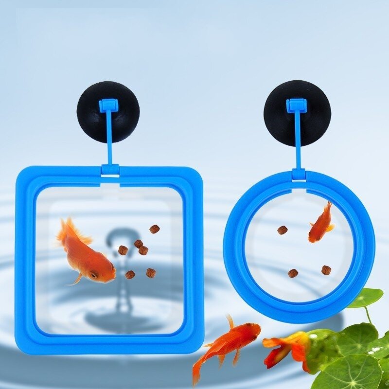 Vòng cho cá ăn, vòng giữ thức ăn cho cá