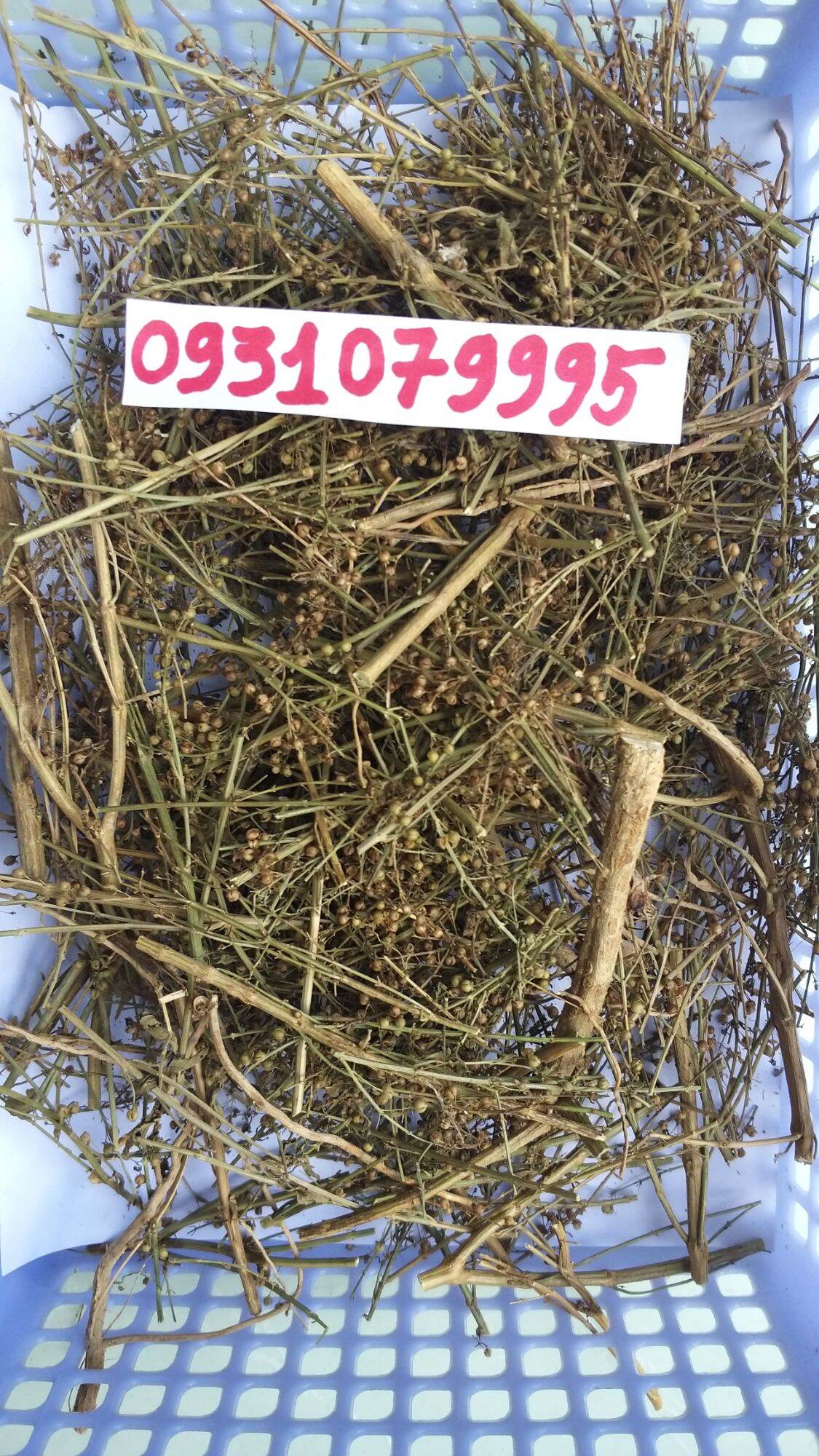 Cây cam thảo đất - cam thảo nam phơi khô 1kg