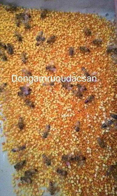Phấn hoa mật ong chuẩn mới 500G