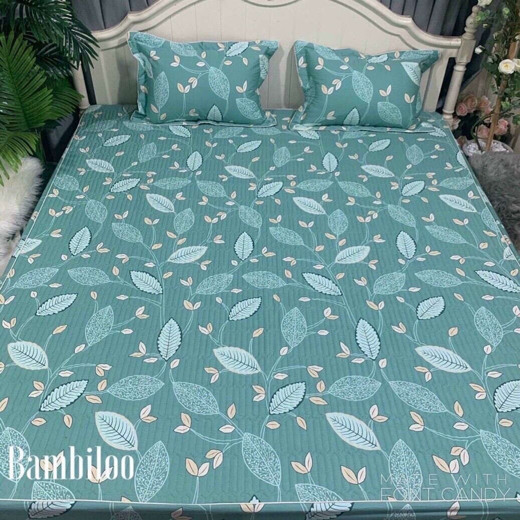 Combo 2 bộ ga gối 1m6x2m và 1 bộ ga gối 1m8x2m